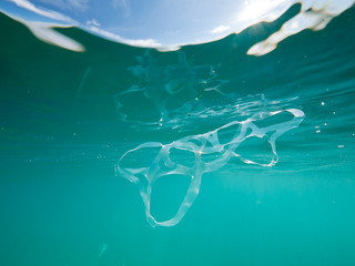 6 pack ring underwater plastic ocean © Jarrod
