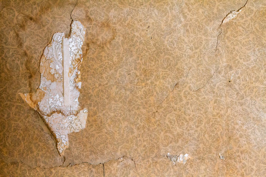Layers of Peeling Wallpaper in Bodie Gold Mine Ghost Town State Park, California 