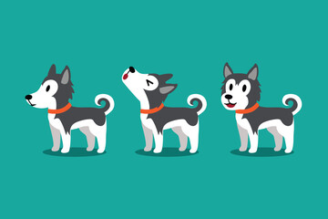 Set of vector cartoon character cute siberian husky dog poses for design.