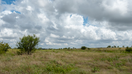 Wide Angle View of Flat Land with Tall Grass with Storm Clouds in the Sky