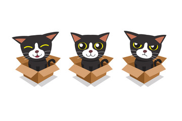 Vector cartoon illustration set of cat in cardboard box for design.