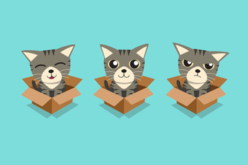 Vector cartoon illustration set of tabby cat in cardboard box for design.