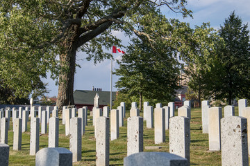 Halifax military cemetery Fort Massey, graveyard, summer, sacrifice, 