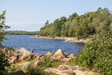 Lake coastline, water, no people, summer