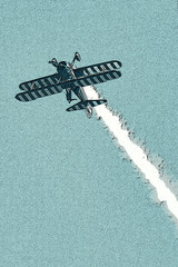 Wing walker illustration series blue background upside down © Artful Panoply