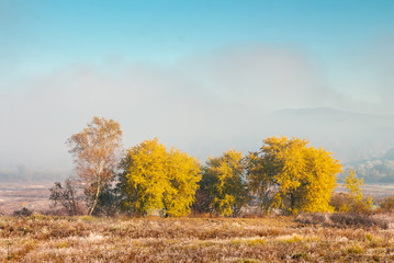 beautiful autumn landscape in the valley. fog above the meadow and yellow trees in sunlight. mountain is seen in the far distance