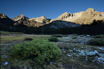 Fototapeta na wymiar Sierra Nevada Mountains Summer