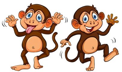 Fototapete Affe Zwei süße Cartoon-Affen