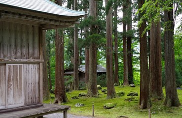 苔が美しい日本の神社の境内