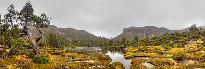 Obraz premium A seculded pool in the heart of the Walls of Jerusalem national park