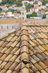 Dubrovnik city walls and orange tiles Croatia 