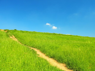 初夏の江戸川土手風景