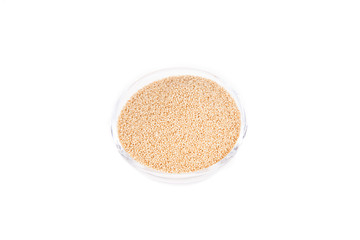 Raw organic amaranth grain on white background