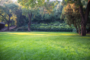 Summer lawn at sunset