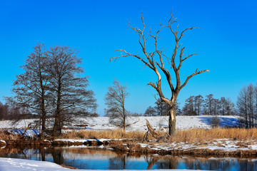zima nad rzeką Łyną