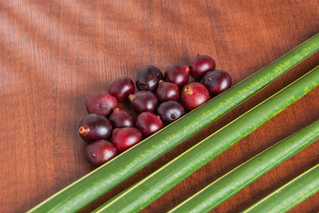 Acai powder - Euterpe oleracea