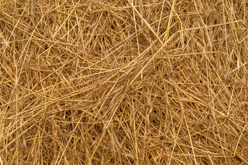 Background of hay. Yellow Dry grass texture.
