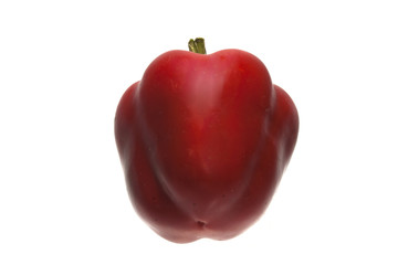 pepper isolated on white background