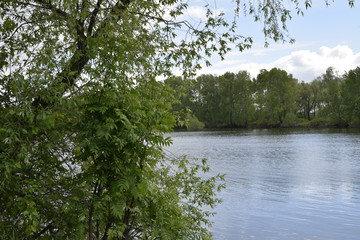 The second channel of the Ob river. Novosibirsk region.