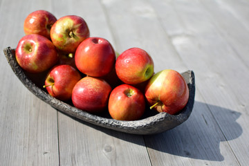 Red shiny apples in pottery dish on grey natural wooden background with copy space for text outdoors in sunlight at sdf.  Freshly harvested sweet tasty fruit as healthy snack or for preparing salad co