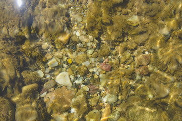 Looking down through the water of the green river at the small pebbles in the river bed. 