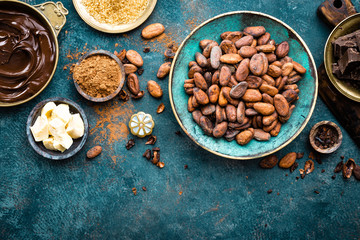 Cocoa. Cocoa beans, dark bitter chocolate chunks, cacao butter and cocoa powder. Cocoa  background