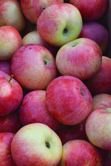 Stack of red yellow fresh apples as background. Freshly harvested sweet tasty fruit as healthy snack or for preparing  delicious salad cooking or bakery.
