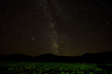 The dark night sky looks like a back lit canopy with holes punches in it. 