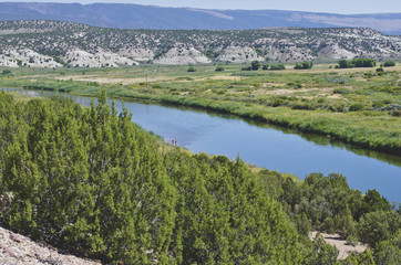 A view looking down on the slow flowing green river under the summer sun.  