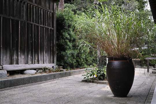 vase noir orné d'un liseré rouge garni de hautes herbes coupées dans une allée au Japon    