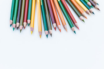 Set of colorful pencils on white background. Autumn color palette Back to school concept. Copy space for text