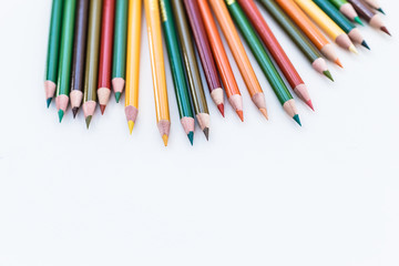 Set of colorful pencils on white background. Autumn color palette Back to school concept. Copy space for text