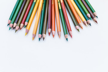Set of colorful pencils on white background. Autumn color palette Back to school concept. Copy space for text