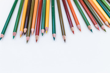 Set of colorful pencils on white background. Autumn color palette Back to school concept. Copy space for text