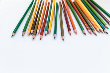 Set of colorful pencils on white background. Autumn color palette Back to school concept. Copy space for text