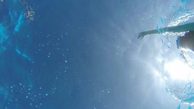 A cheery down up view of young woman in bikini swimming blackstroke in swimming pool.She is shot from underwater and looks funny a bit in slo-mo