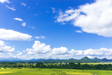 Fototapeta premium さわやか 山形県金山町 