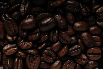 コーヒー豆　珈琲豆