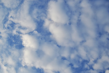 Fototapeta premium Blue sky with clouds