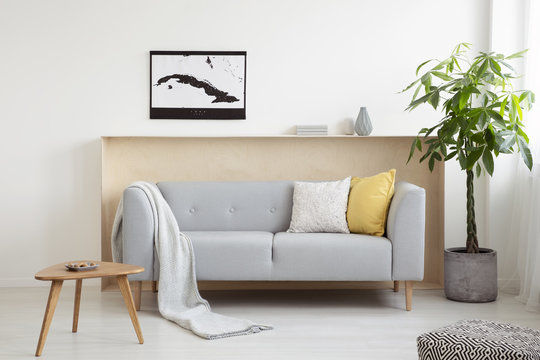 Grey sofa between wooden table and plant in modern living room interior with poster. Real photo