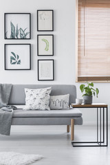 Real photo of a modern living room interior with art gallery, pillows on a sofa and coffee table with a plant