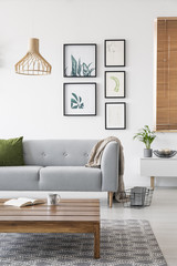 Posters on a wall in a living room interior with a sofa and low coffee table. Real photo