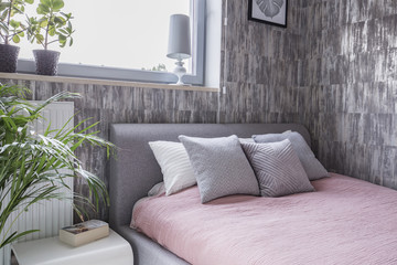Cushions on pink bed in patterned bedroom interior with lamp, window and plant. Real photo