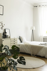 A monochromatic woman's bedroom interior with white and beige furniture, like a bed and a drawer cabinet. Copy space wall. Real photo.