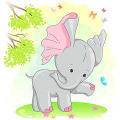 Cute little baby elephant.