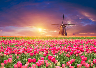 The road leading to the Dutch windmills from the canal in Rotterdam. Holland. Netherlands