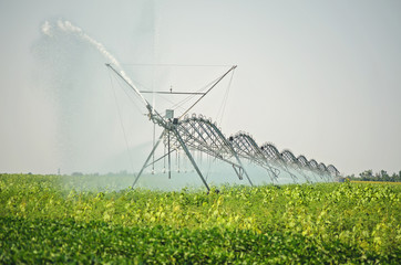 watering the fields