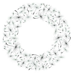 Frame with dandelions. 