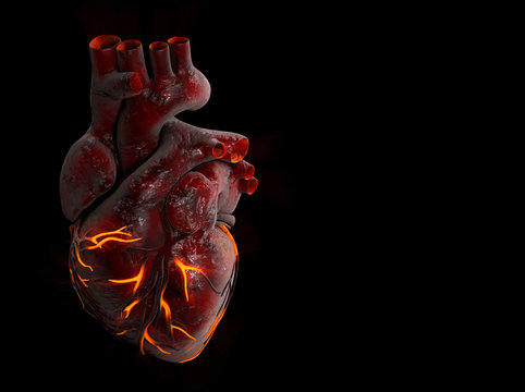 3d Illustration of Human Heart with fire vein.