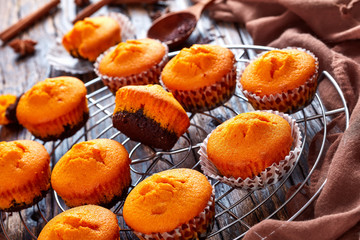 freshly baked sweet pumpkin muffins